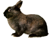Captcha image 8663