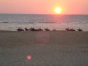 Captcha image 2481