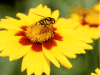 Captcha image 6572